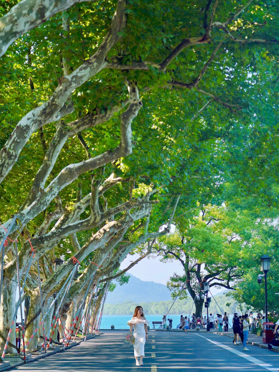 我问了99个杭州人，都说这里才是西湖的神！