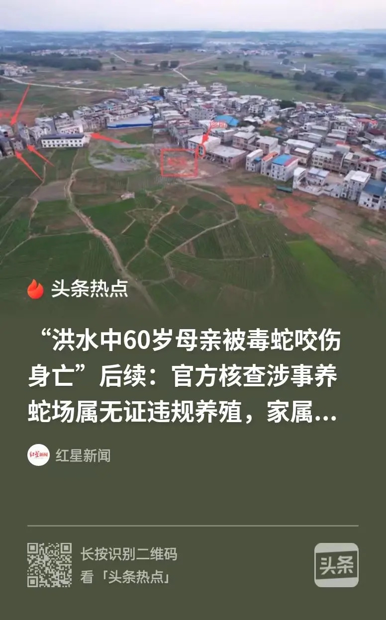 人死就得赔！广西横州，台风将养殖场近1000条蛇冲出棚舍，60岁大妈洪水里被眼镜