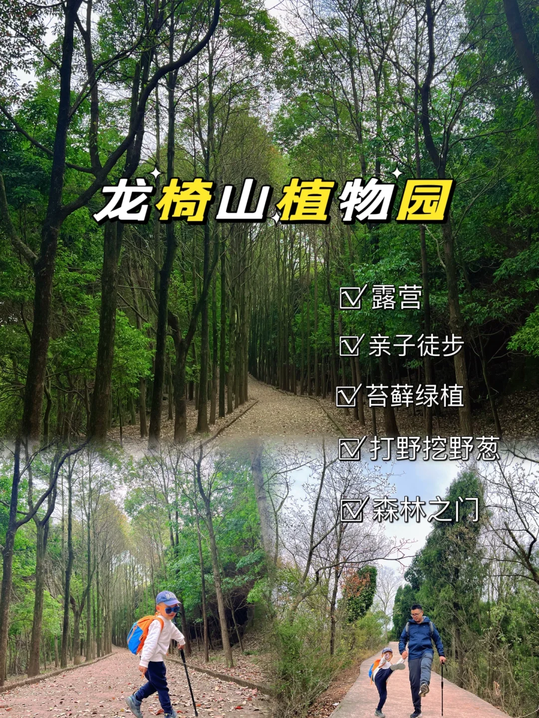 成都近郊0.5h❗小众冷门亲子徒步龙泉龙椅山