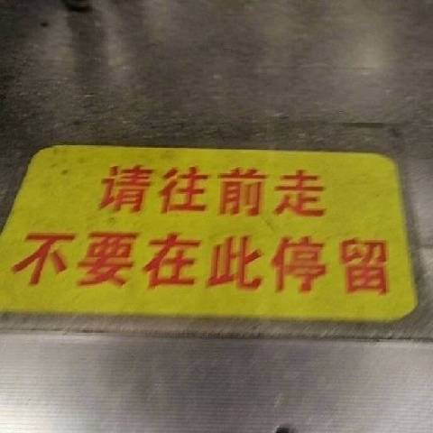 折枝做梦甘露寺重生版