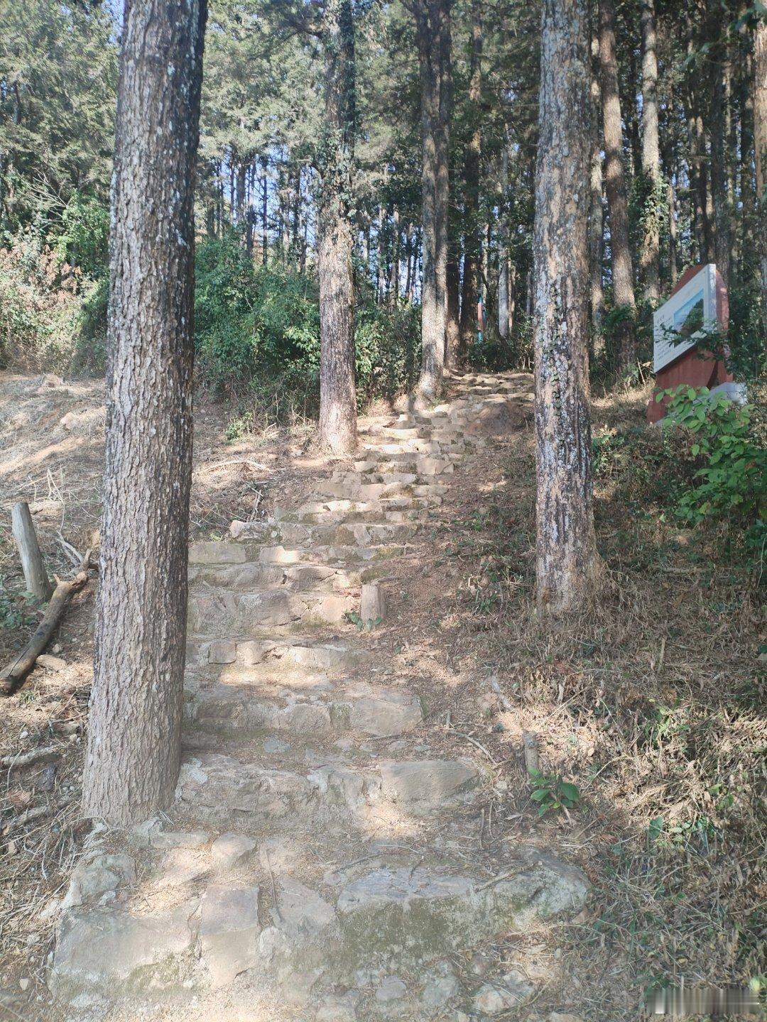 永春大鹏山风景区&大鹏山徒步登山道&登山道——“大鹏山县城北。形如飞鹏垂翅，绝顶三峰，秀出云表。”  ​