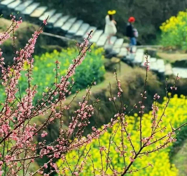 体制内：消除燃气安全风险隐患发言稿