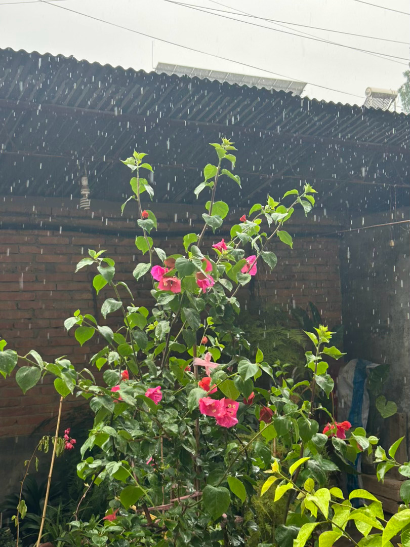 雨请一直下🙏 ​​​