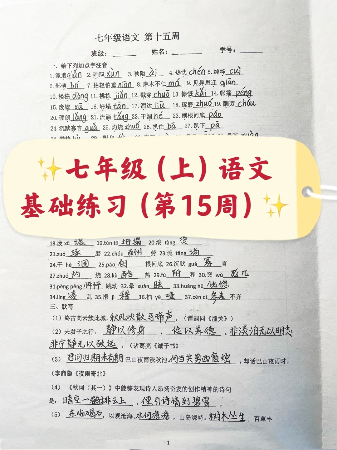 七年级（上）语文基础练习（第15周）