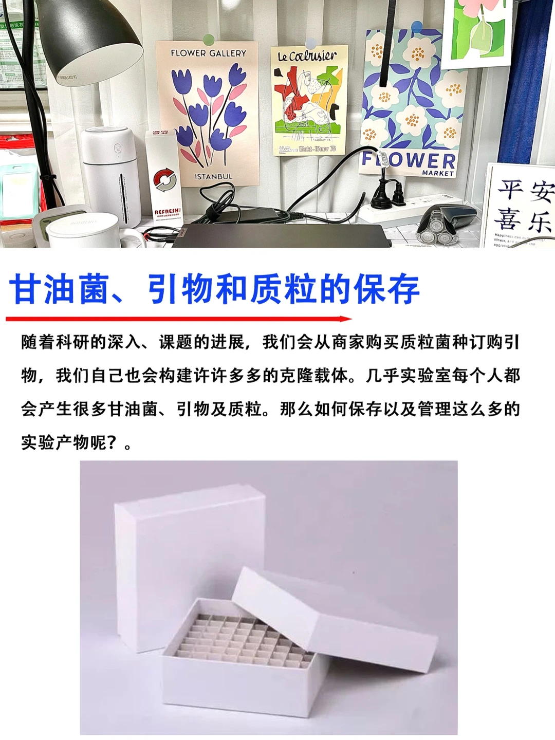 甘油菌、引物和质粒的保存｜基础篇