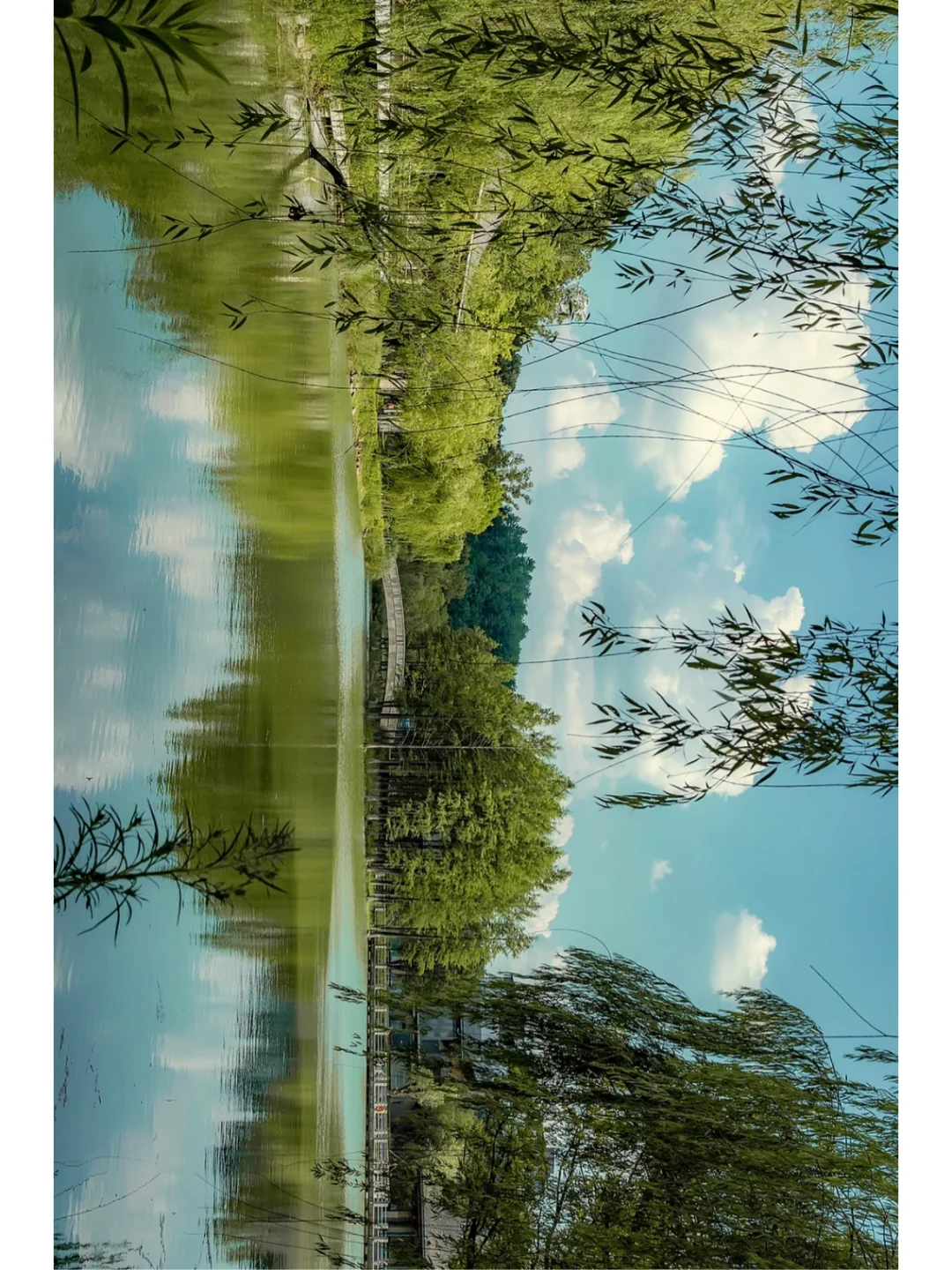 杭州旅行｜地铁直达的宝藏公园🍃好适合约会
