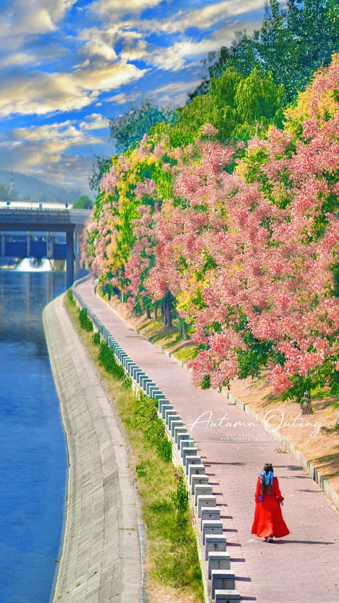 9.25实拍｜北京开启盛大花事！附调色参数