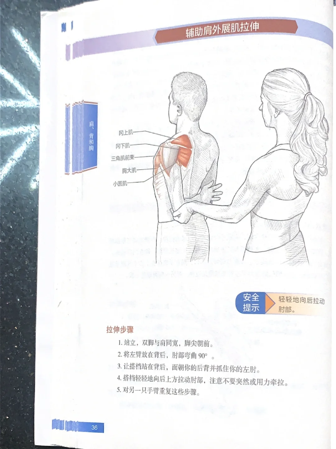 拉伸运动系统训练