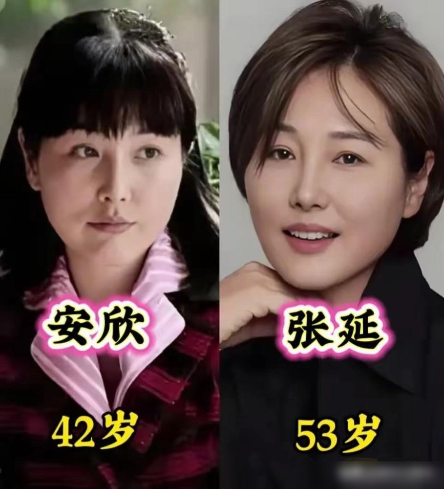梅婷两口子在乌镇被堵了，素颜，没躲，手里还拎着菜。
十年前《父母爱情》里，安杰挑水都要踮脚，嫌扁担脏。刘琳演的德华蹲地上扒拉土豆，郭涛一张脸黑红黑红，刘奕君站旁边活脱脱个白面书生。那时候谁好看，一眼分明。
现在再看，郭涛越老越像块老船木，纹路全出来了，反而耐看。刘奕君瘦得两颊凹进去，眼里有钩子。