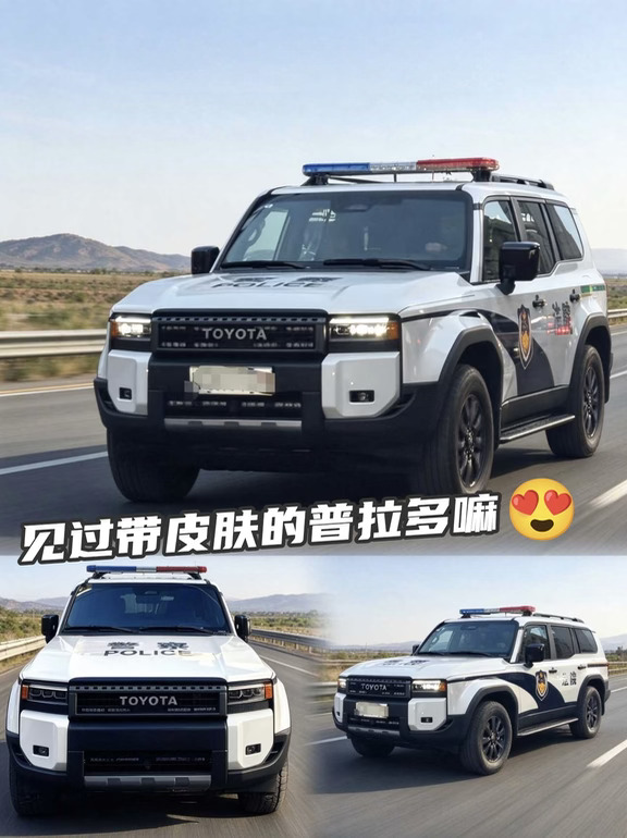 见过带皮肤的普拉多吗~