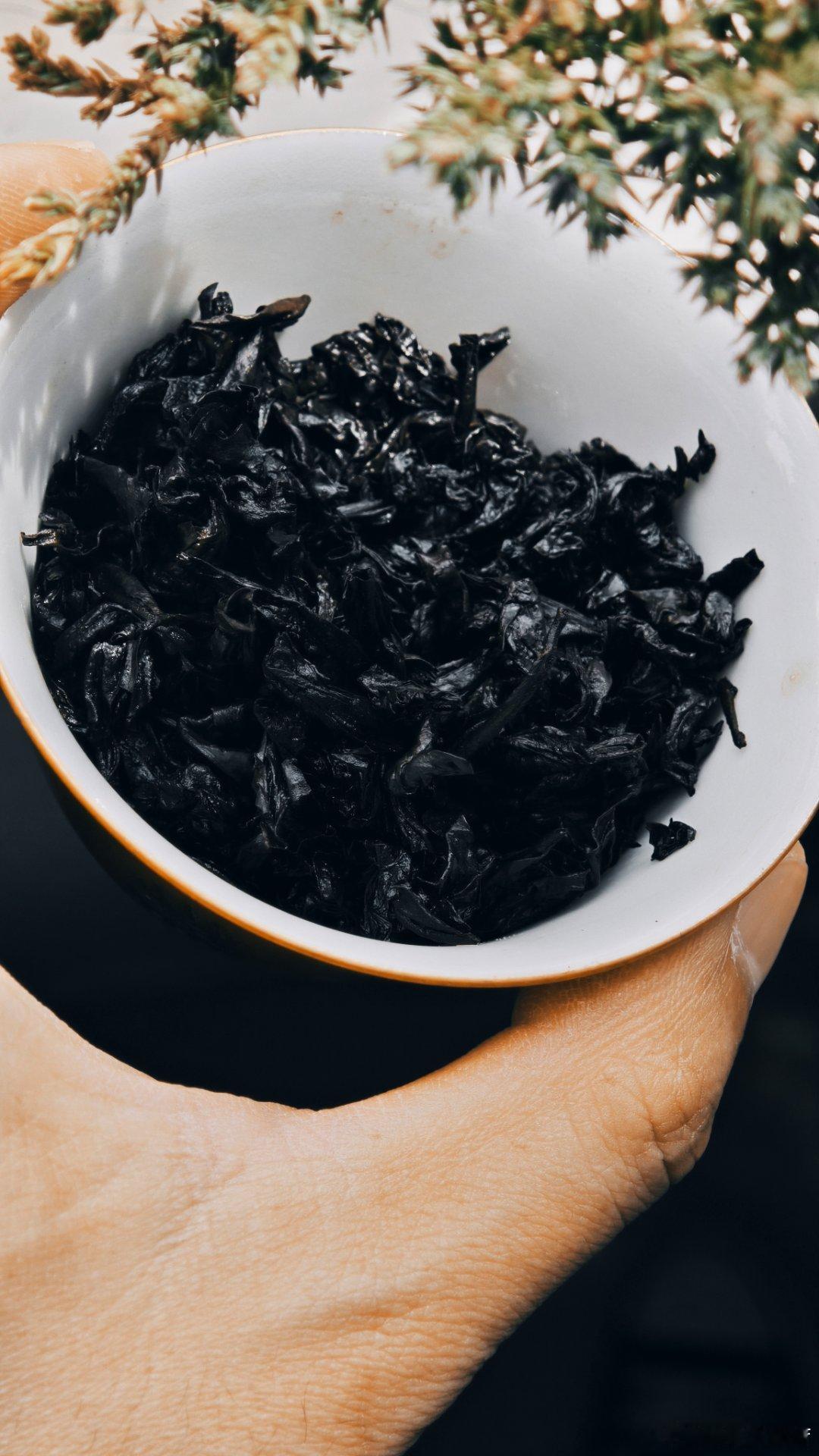 2000年正岩老枞水仙🍵

#油价一夜暴涨8%##岩茶##茶礼# ​