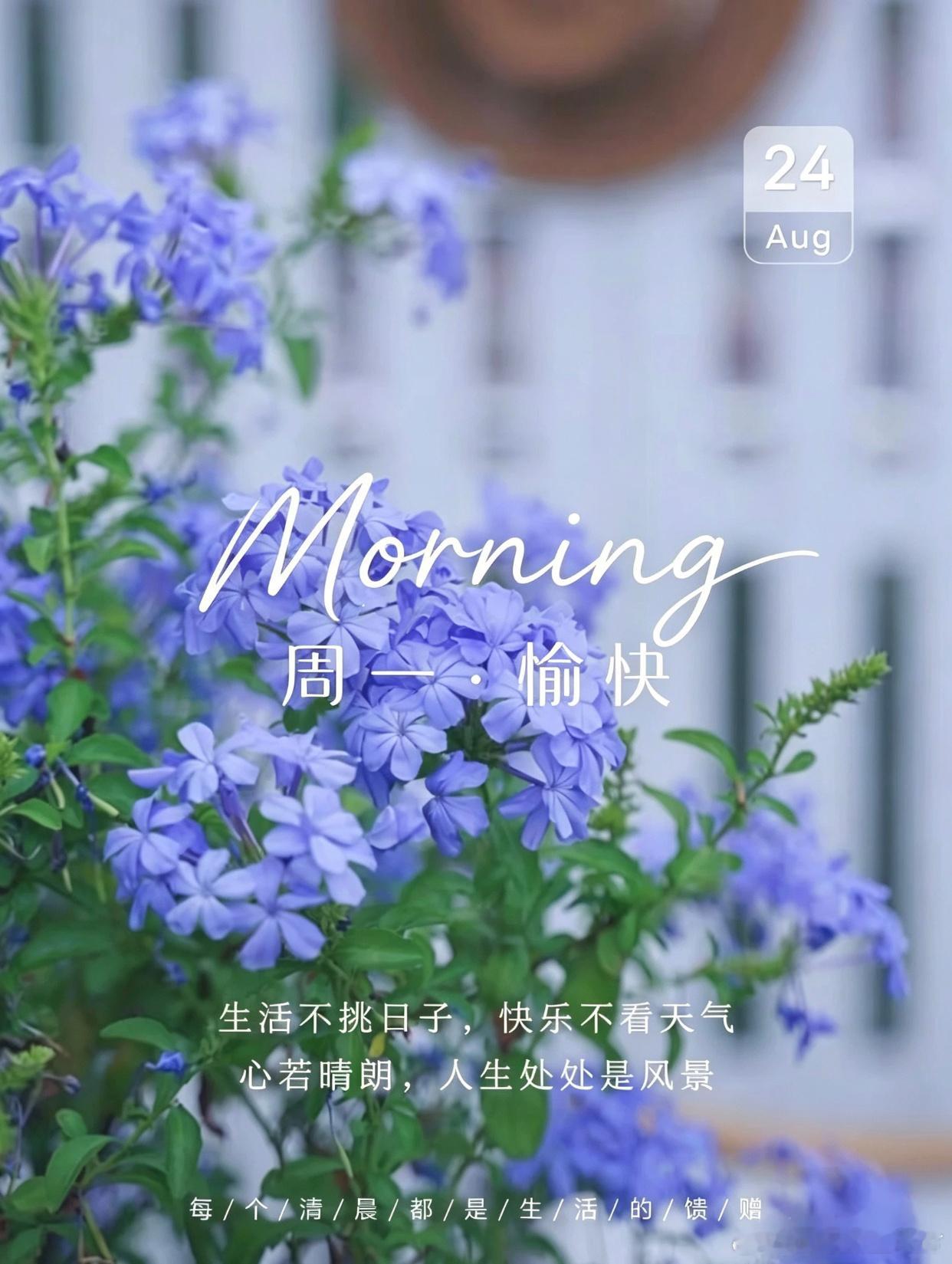 8月24，大家早上好啊！[心][耶][鲜花][嘻嘻]
虽然美国不会在需要对伊朗进行大规模的军事行动，但是扬言会会加大对伊朗实时更彻底的经济制裁。伊朗回怼霍尔木兹海峡和波斯湾都不会流出一滴石油且继续推进海峡收费。博弈还在继续，但金价却涨势不停。早上黄金开盘急涨后冲高回落。本周如何应对，走马观花 ​