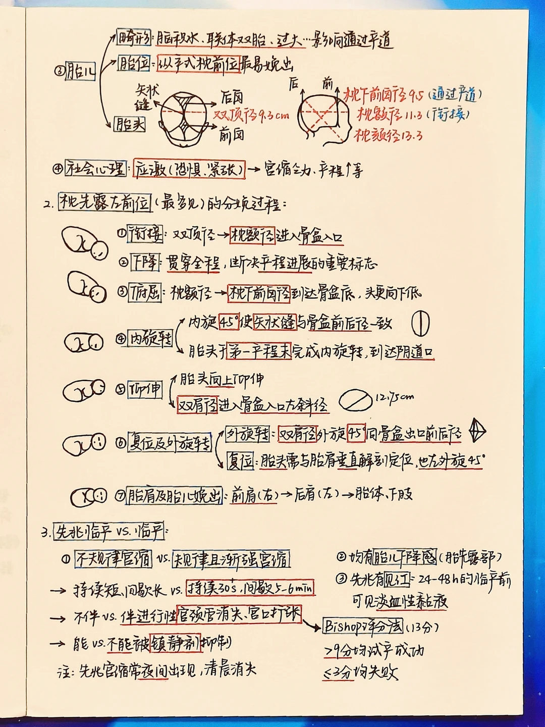 📘学习笔记｜妇产科学·正常分娩②