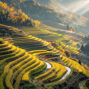 缘聚清幽墨点华