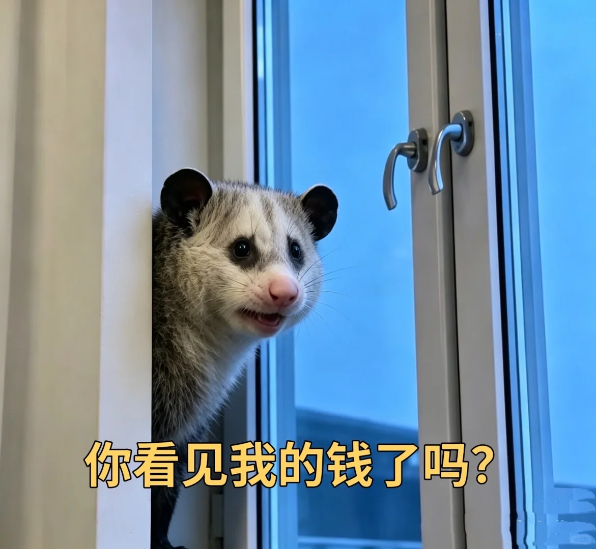 世界杯表情包合集来了｜ 你看见我的钱了吗？