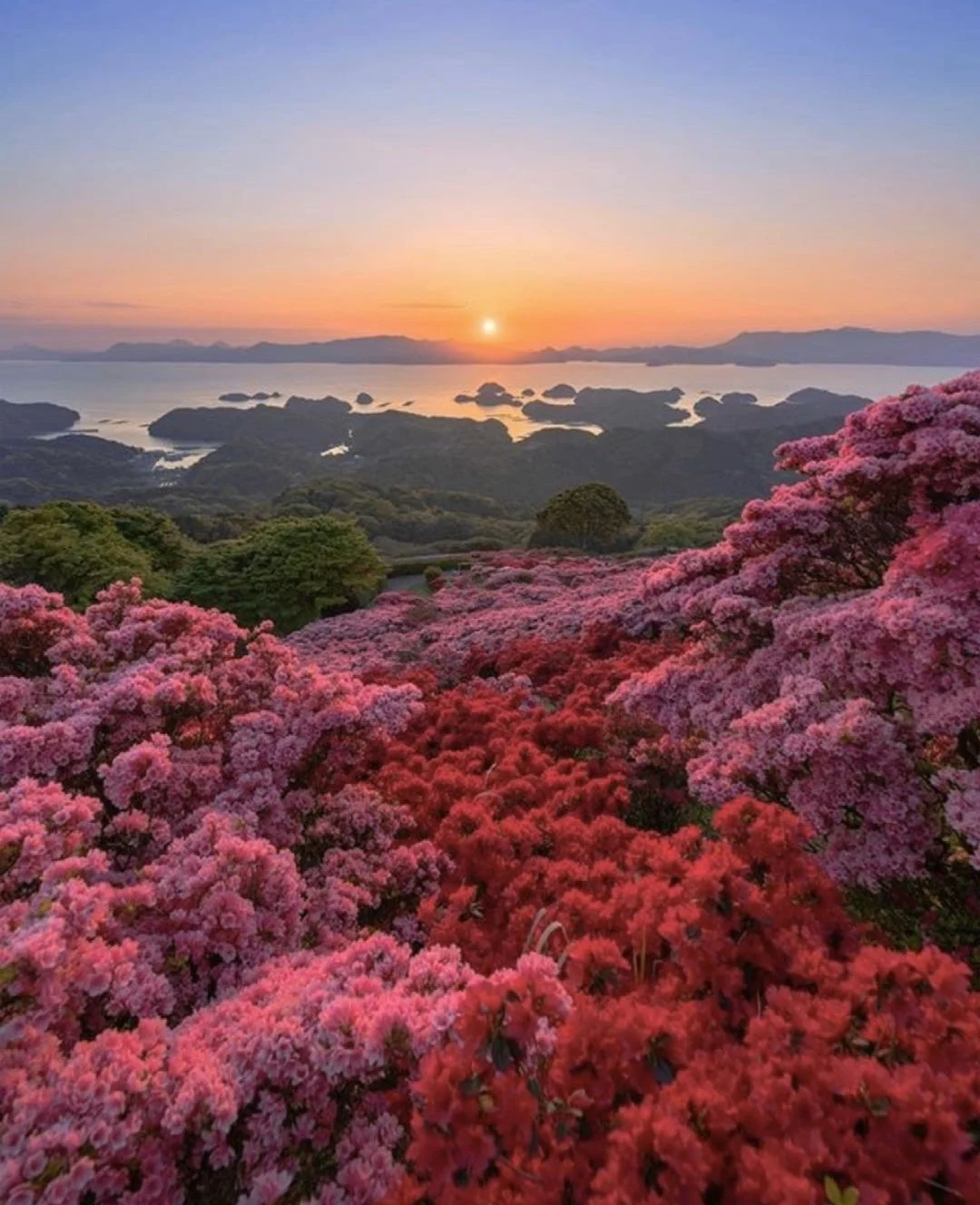 日本长崎县丨山海花岛 无与伦比的视觉盛宴