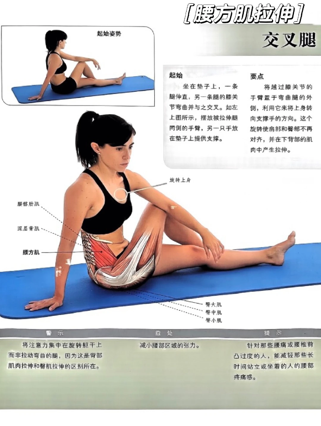 腰部肌肉的拉伸方法🔥