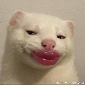 穿维密内衣 做气质女人