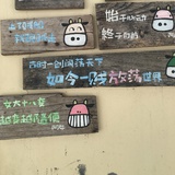 香菱暖心