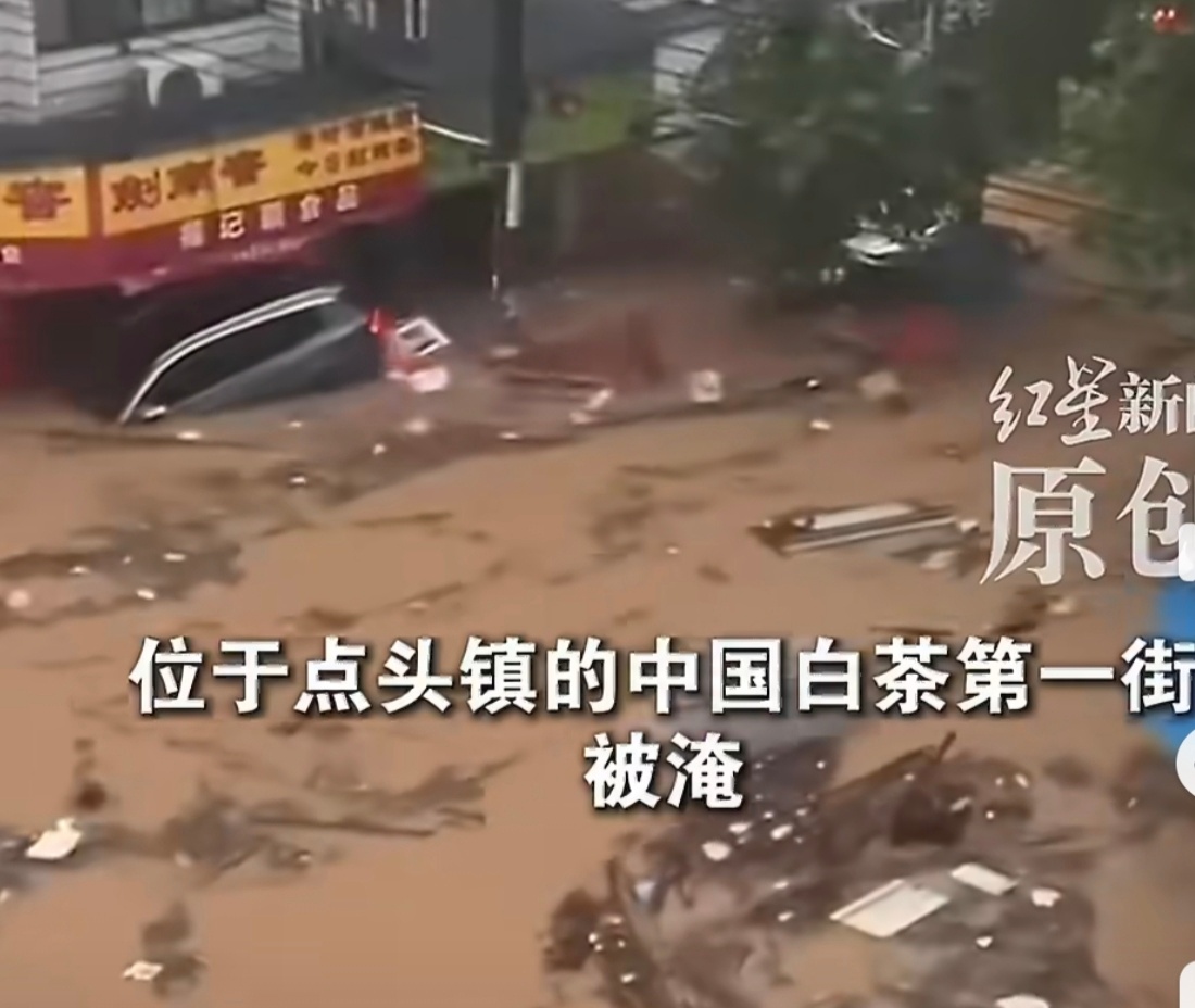 一、灾情概况：雨情极端且内涝严重- 降雨强度：9月1日至2日，福鼎市出现全域持续性强降雨，共有16个乡镇累计雨量超过250毫米，9个乡镇超过400毫米。- 洪涝表现：强降雨导致城区及乡镇街道多处道路