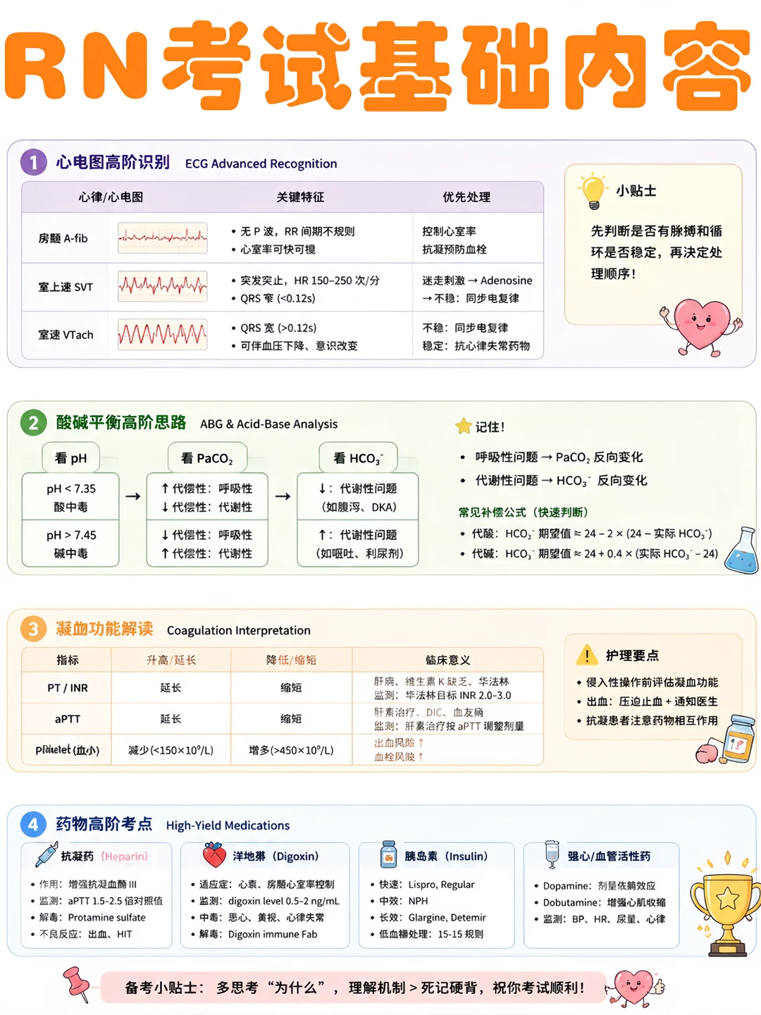 护理备考RN/基础速记词！！学！！单词