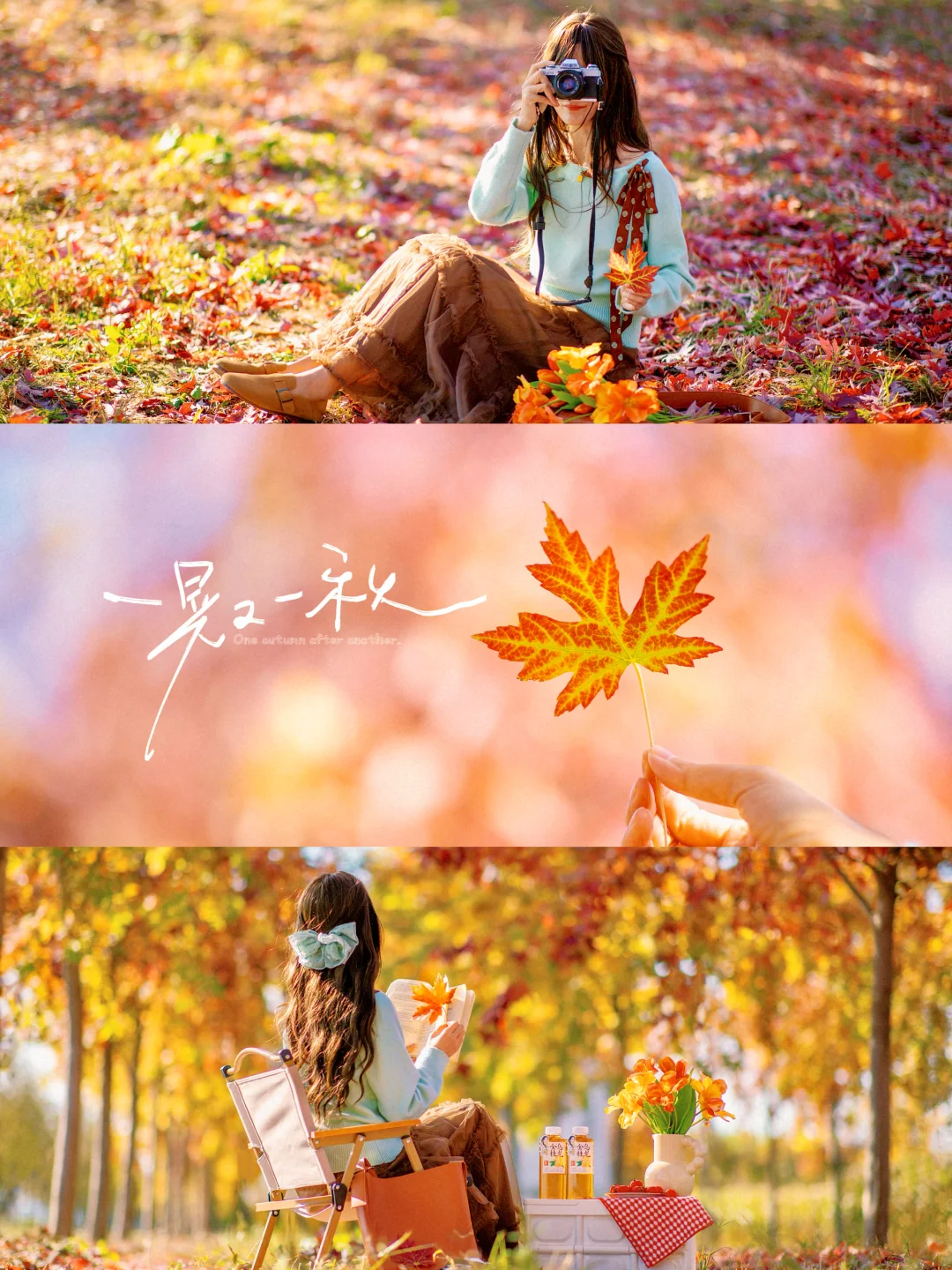 秋天公园落叶电影感拍照|附滤镜调色教程