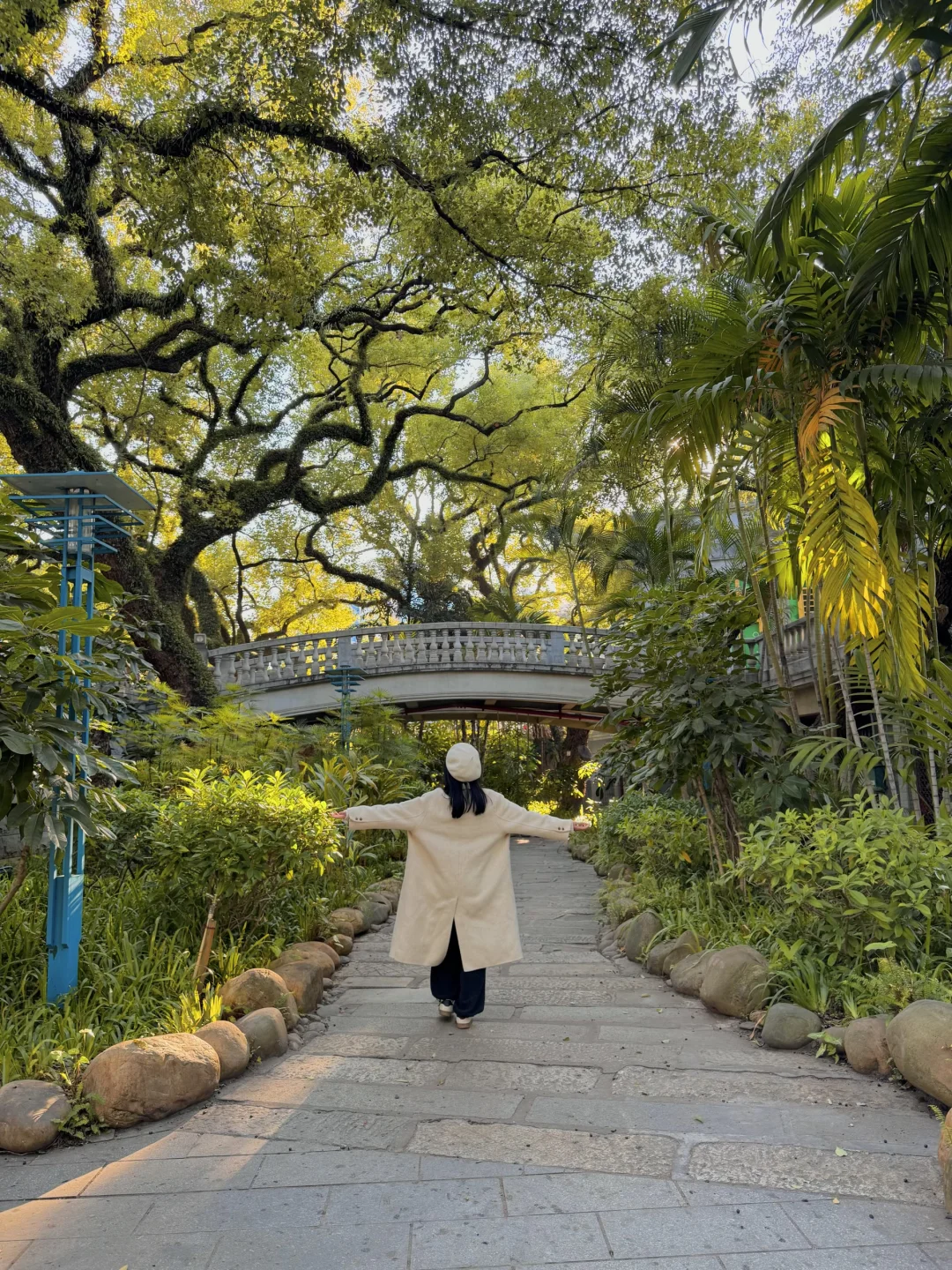 实况live📷被佛山这个老公园的阳光治愈到了