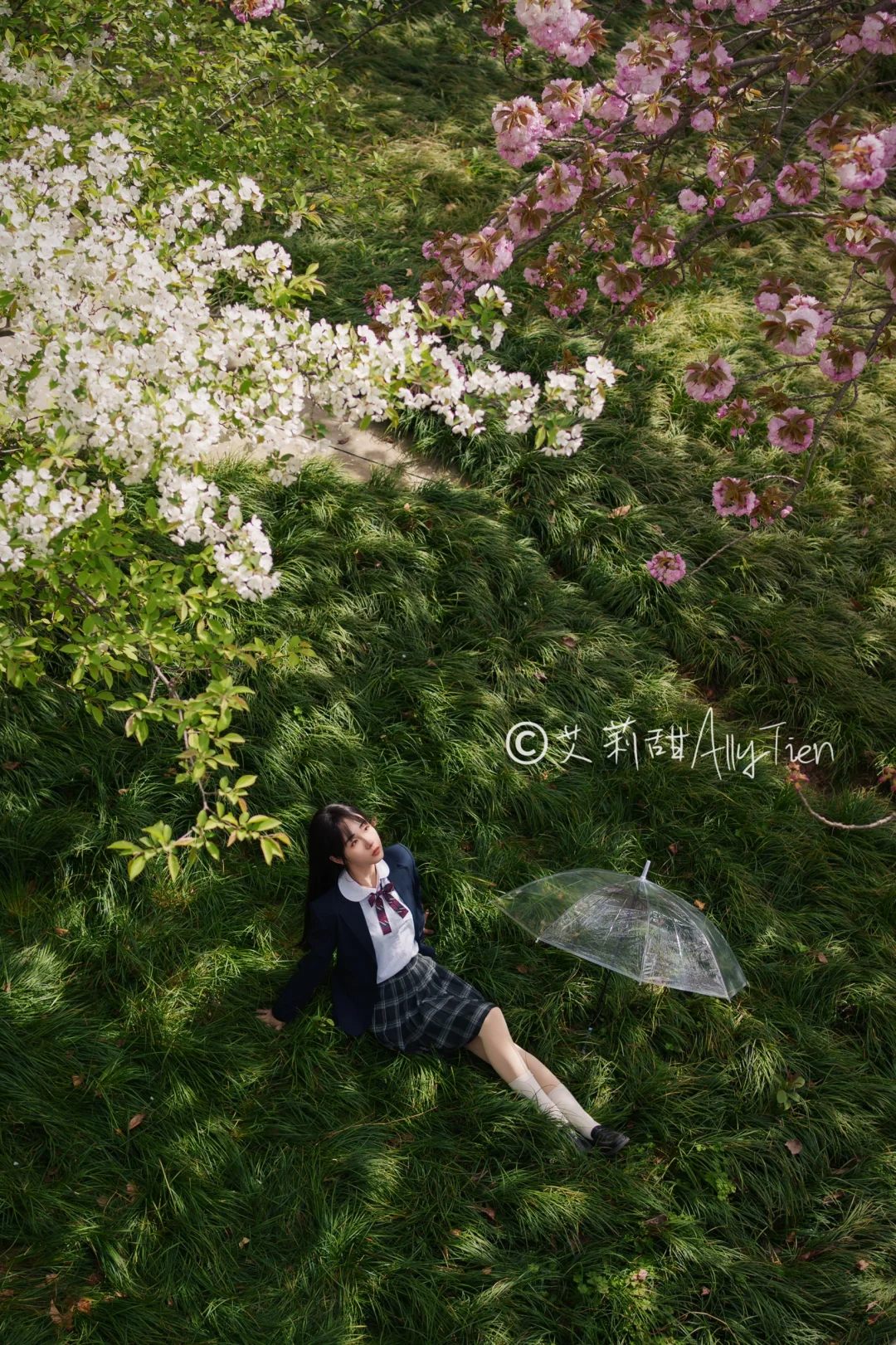 西交大超绝海棠机位📷最全拍照角度get