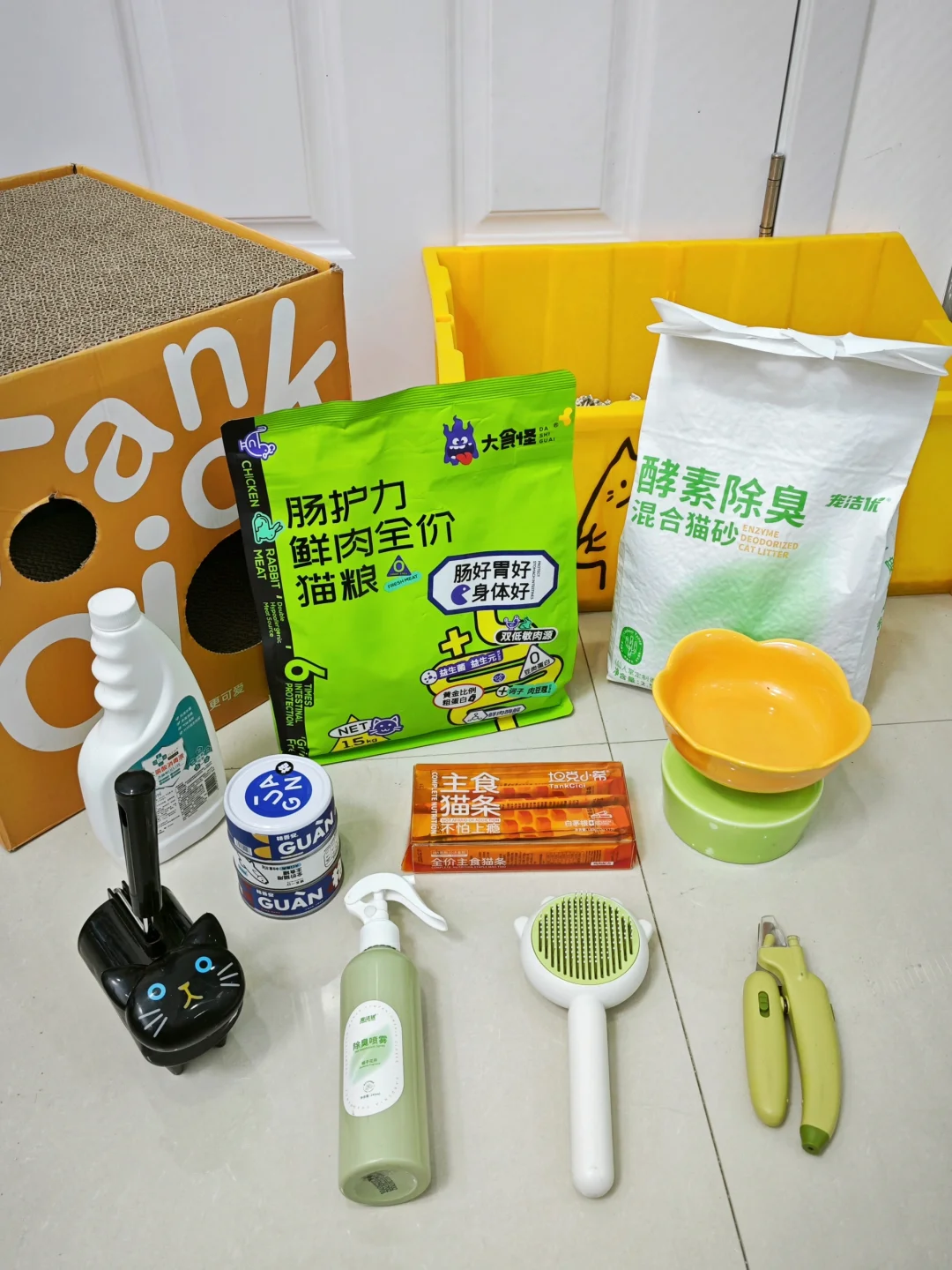 养猫首付仅200💰新手接猫必备‼