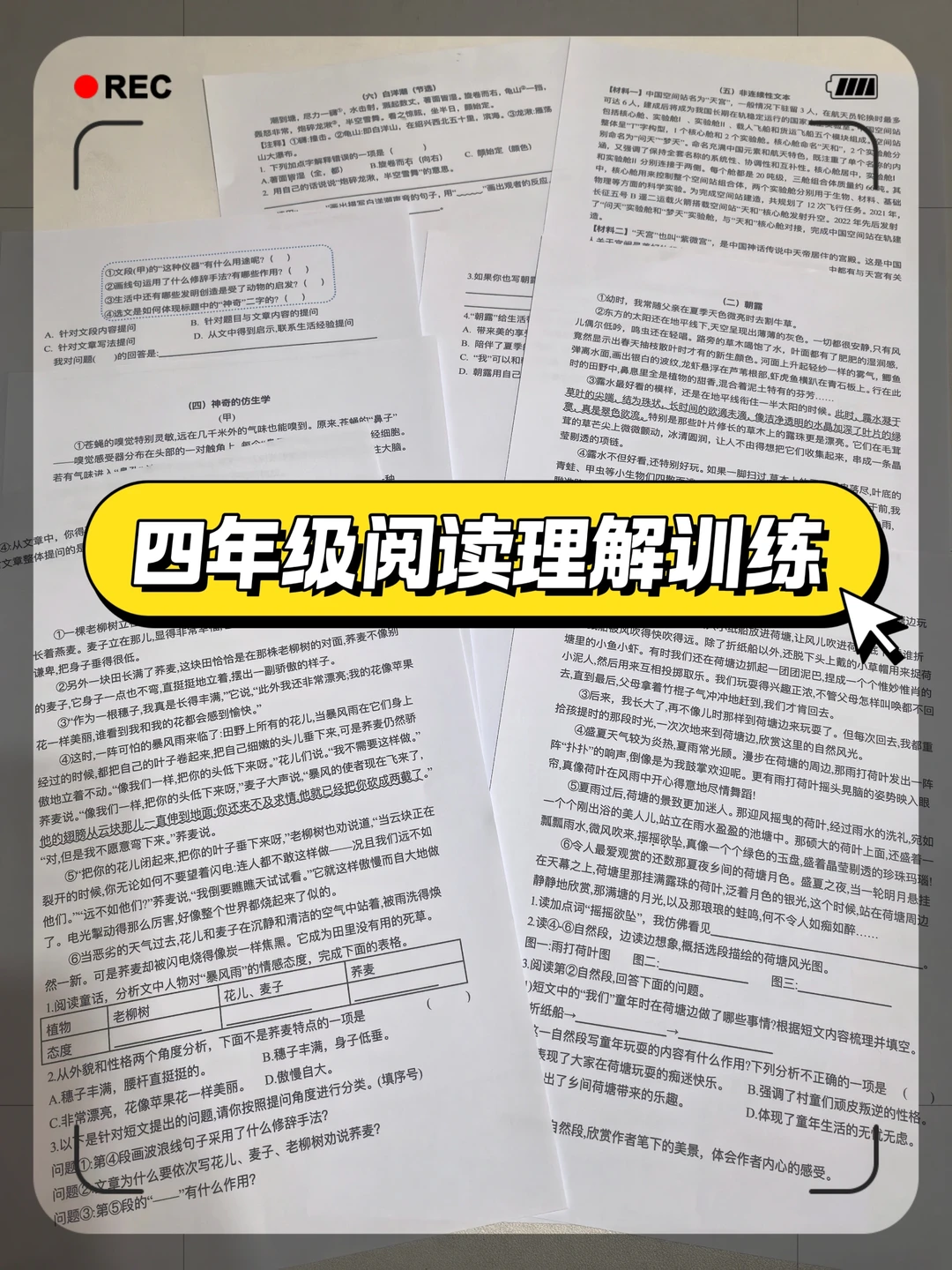 四年级阅读理解专项训练，提分练习