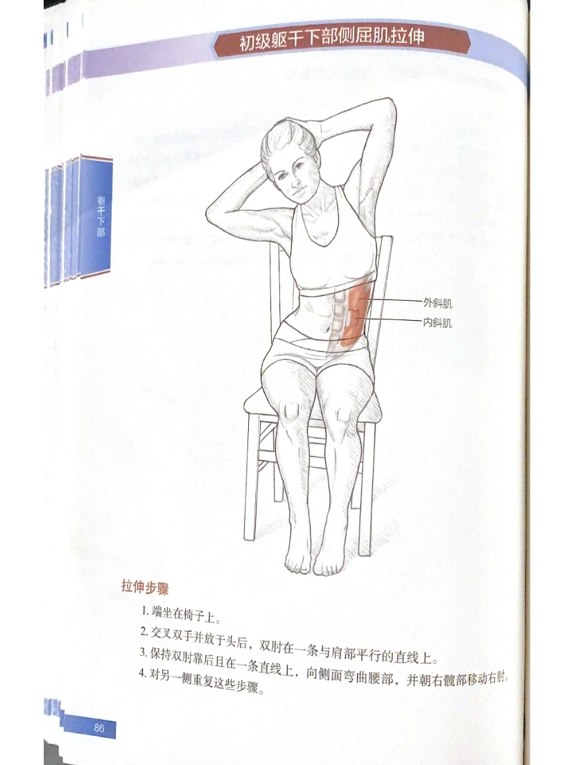 腰侧赘肉如何减掉？｜拉伸运动训练