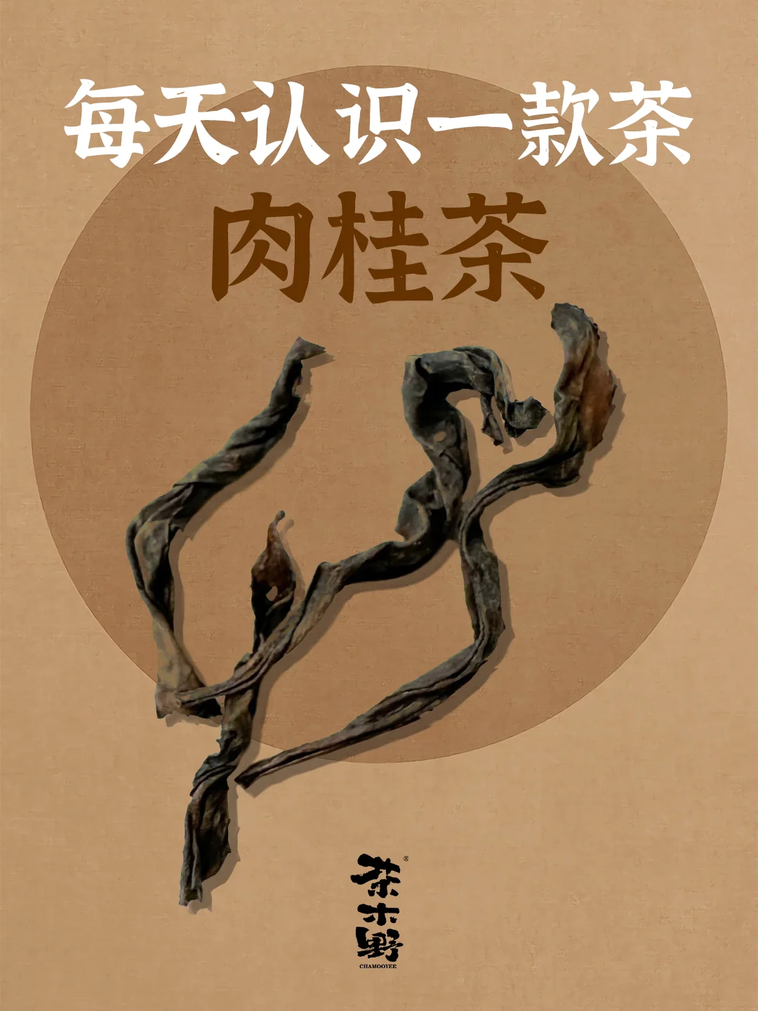 知识分享丨一分钟了解肉桂茶