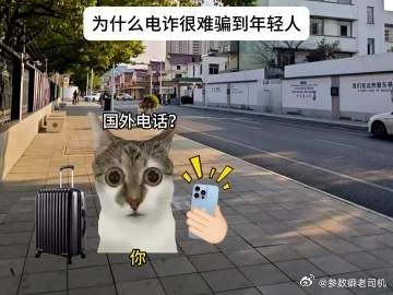 网上那个“年轻人不会被电诈”的段子，我看了半天没忍住笑。“没钱”“不敢借”“内存满了”，句句扎心，句句真实。说到底不是年轻人反诈意识有多强，是穷得明明白白——每一分钱都有自己的去处，压根没给骗子留操作空间。这种精打细算也延续到了消费观里：不是买不起贵的，是不想为虚头巴脑的溢价买单 ​
