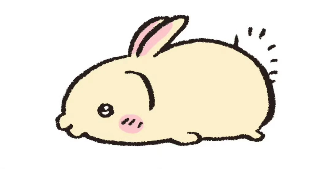 这是？兔还是鼠