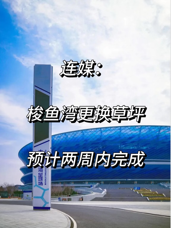 连媒：梭鱼湾更换草坪！预计两周内完成！
