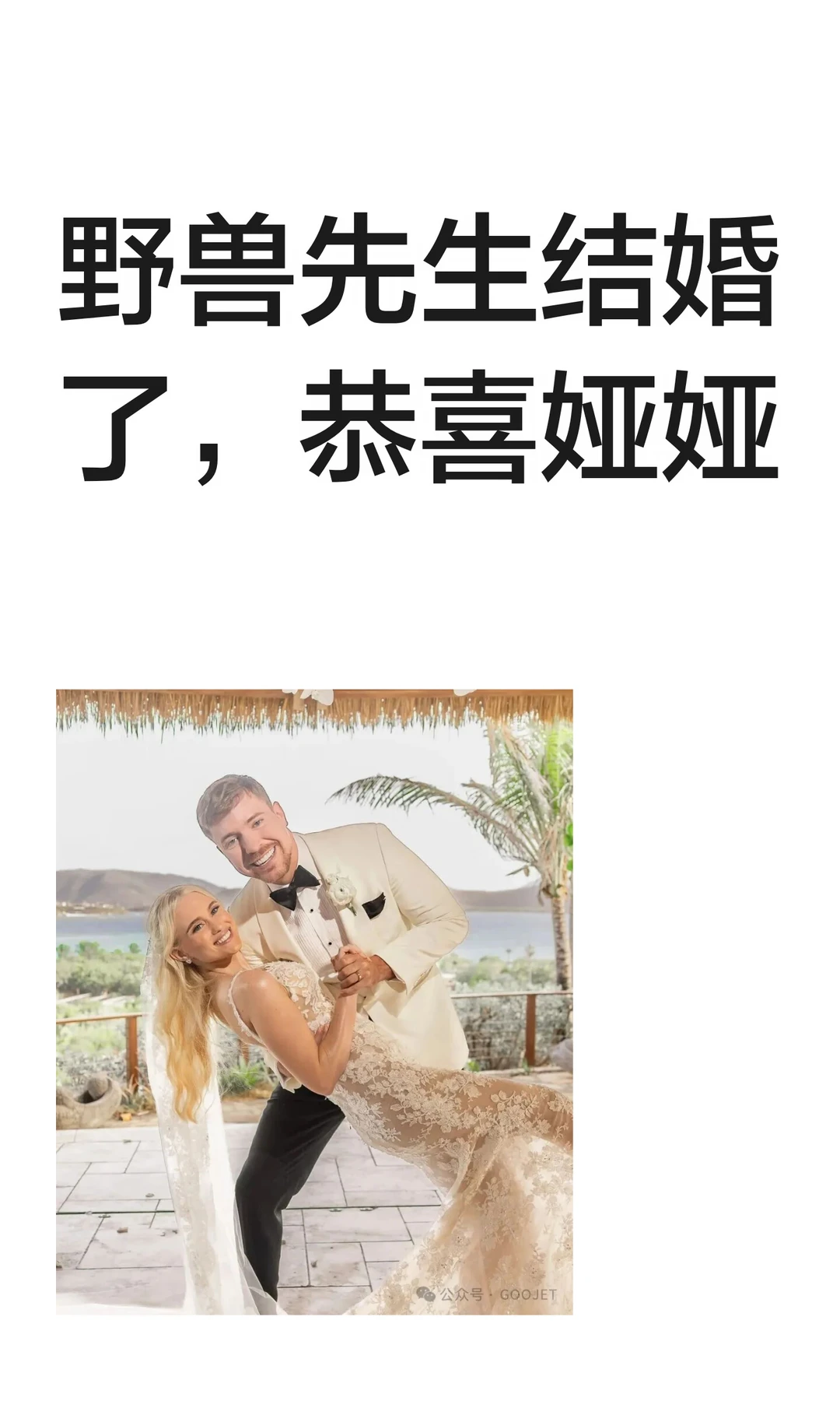 野兽先生结婚了，恭喜娅娅