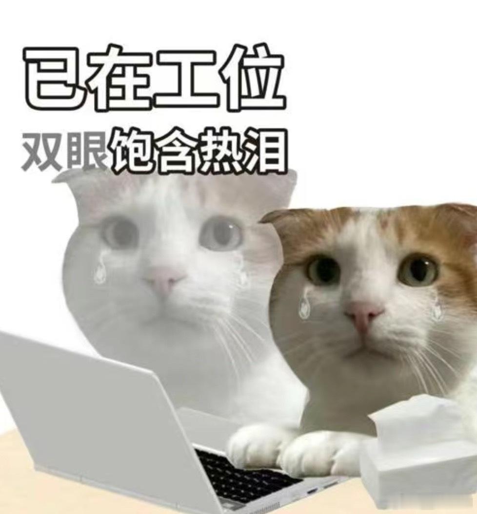 上班，是的，我重生了，上一世我被江浙沪人民嘲笑不如电风扇，重活一世，我...
