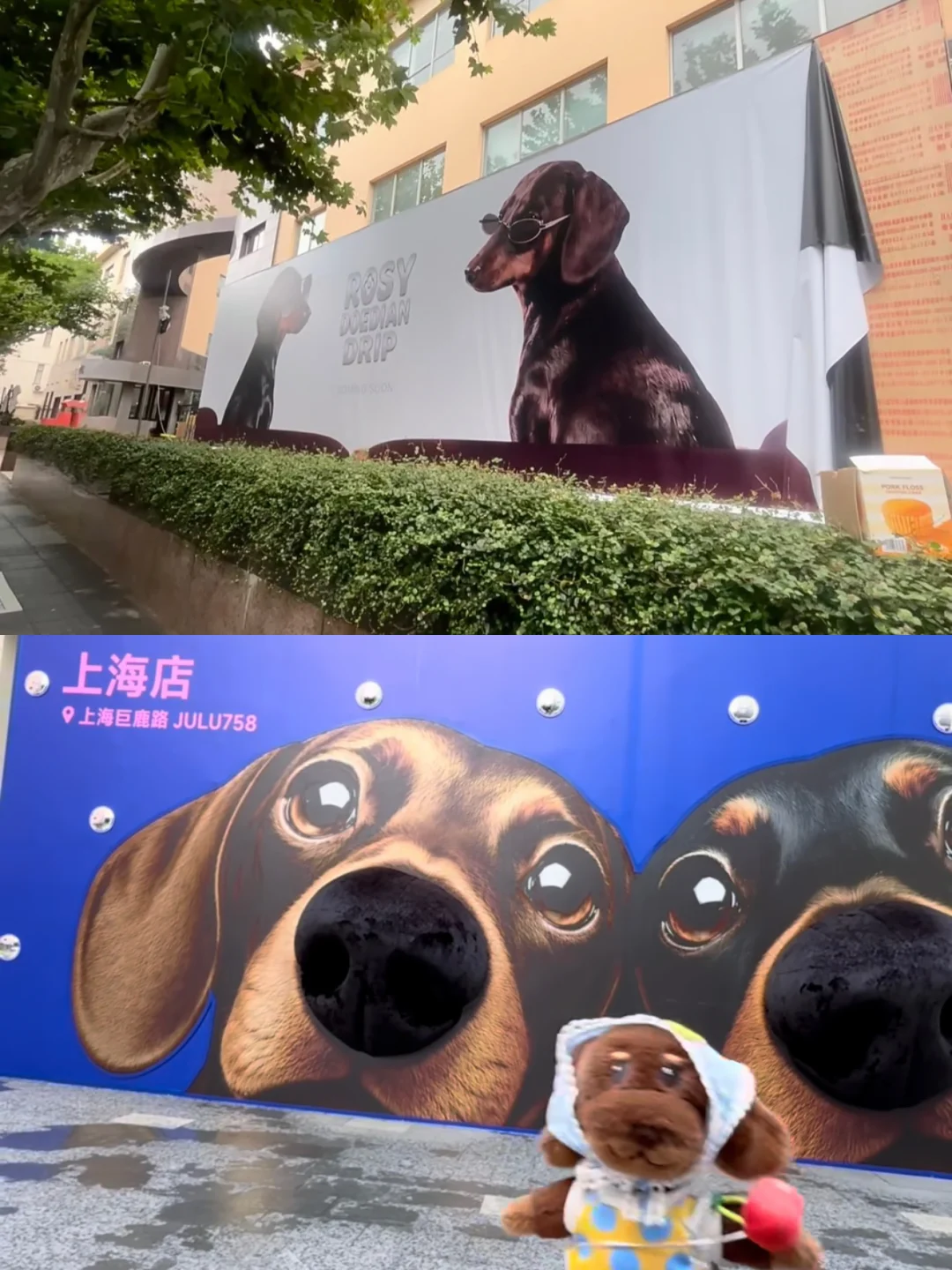 啊啊啊！rdd服装店也要来上海了！我这个ip太幸福了！#ROSYDOEDIAN