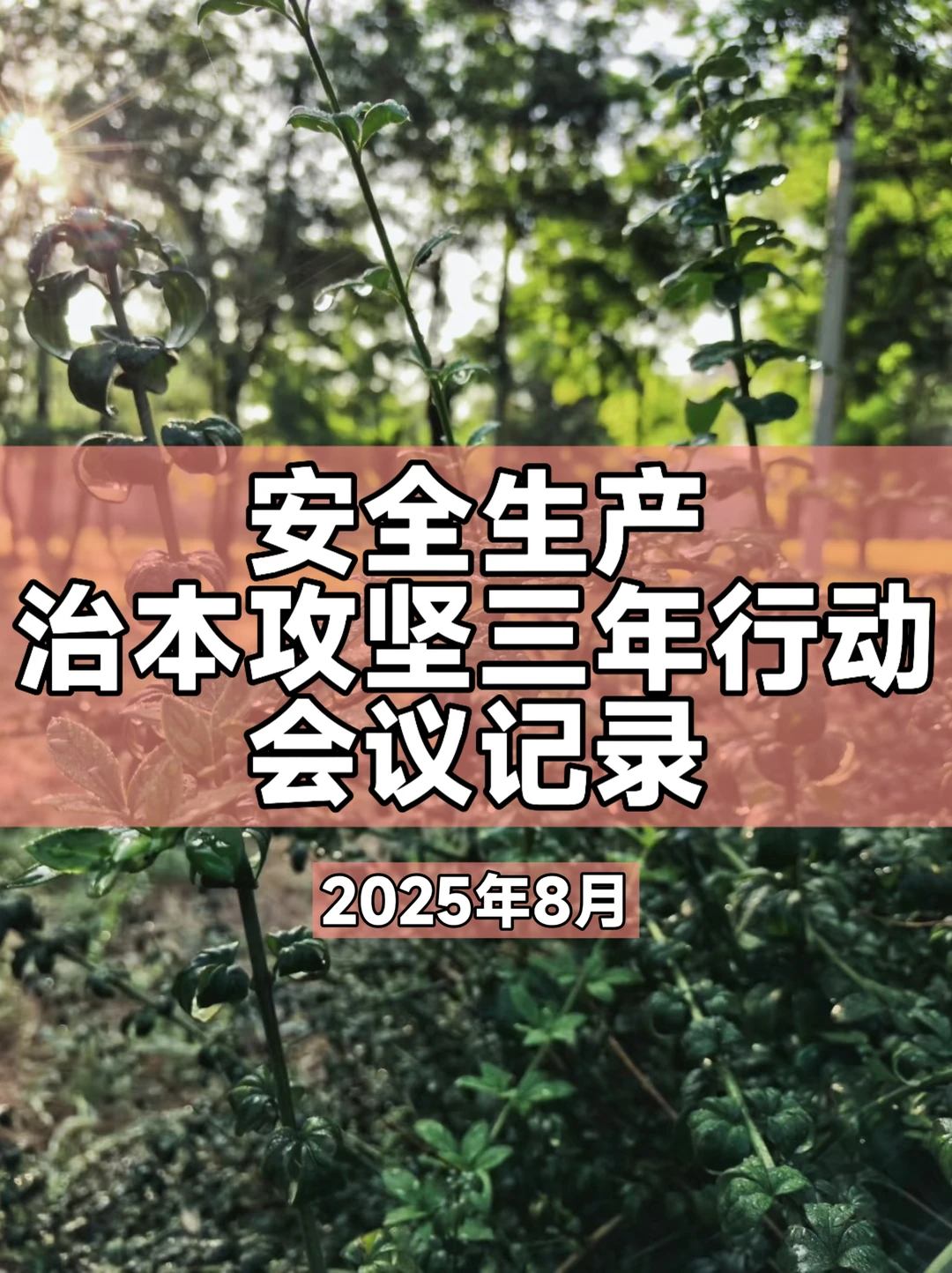 八月安全生产治本攻坚三年行动会议记录