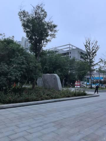 打卡天河公园