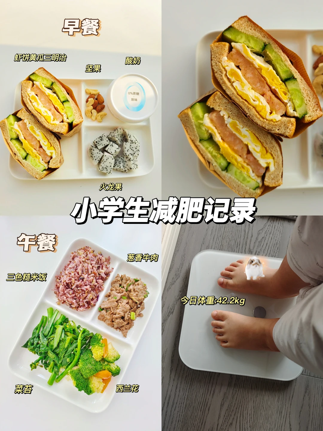 营养师带小学生墨墨减肥已瘦 9.2斤