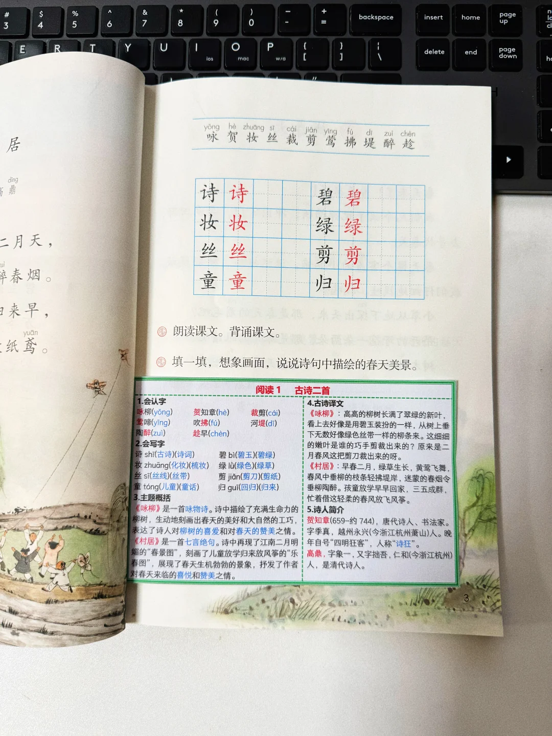 二年级下册丨语文重点知识汇总课课贴