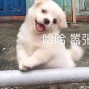 梧桐巷嚣张小耶
