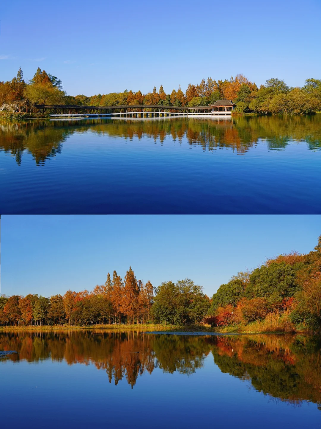 浪漫的不是我，而是杭州西湖的深秋呀！🍁