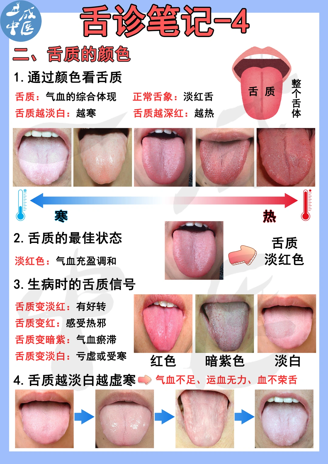 舌诊笔记-舌质的颜色！4-5页