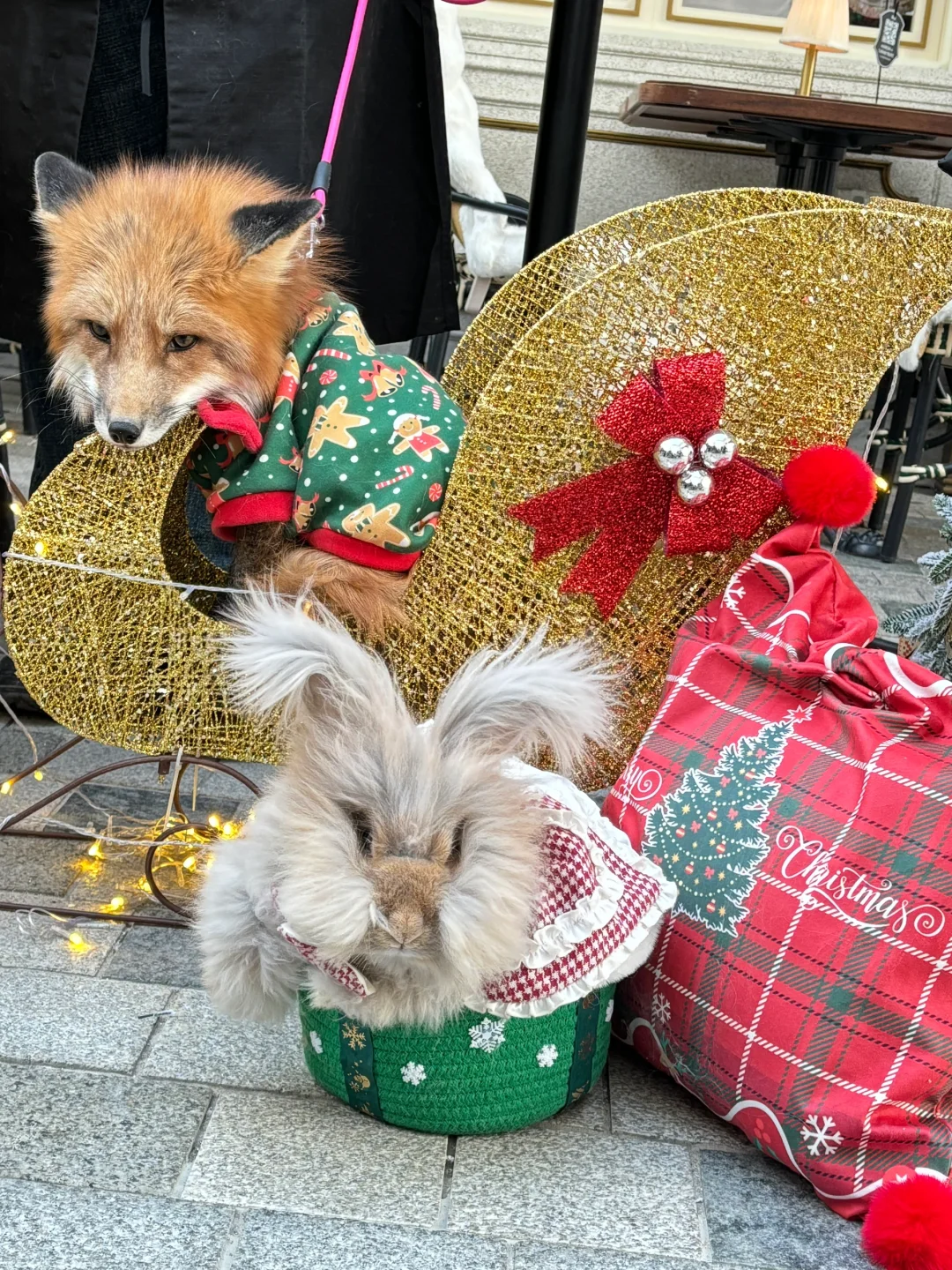 前滩太古里节日限定|暖冬微旅行
