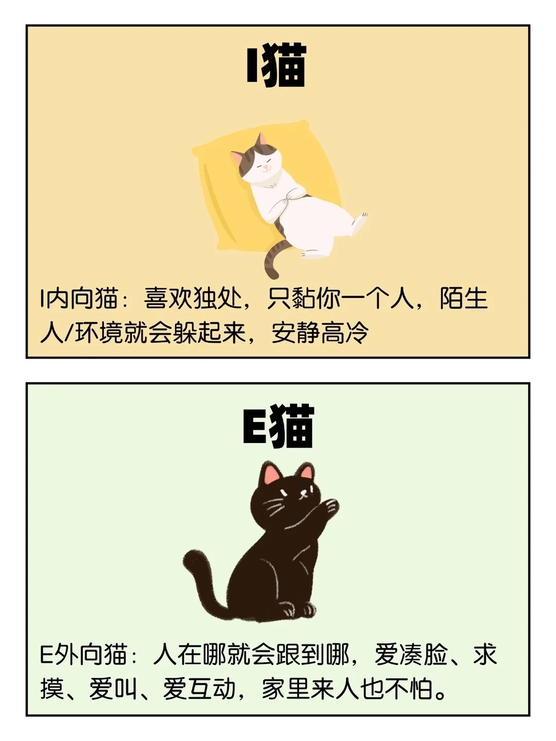 I猫和E猫、你的猫属于哪一种？
