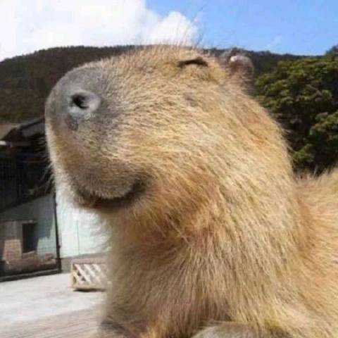 玉宸深扒科技