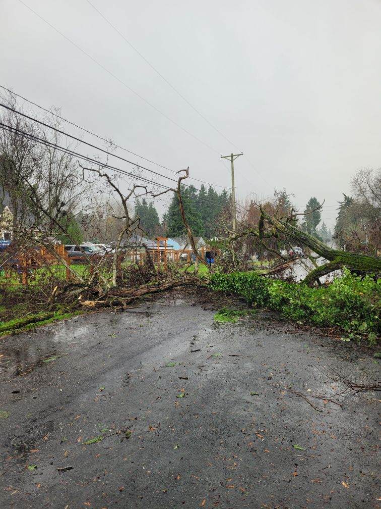 【风暴致大面积停电、山洪与暴雪 未来天气逐步恢复季节正常水平】一场横扫...