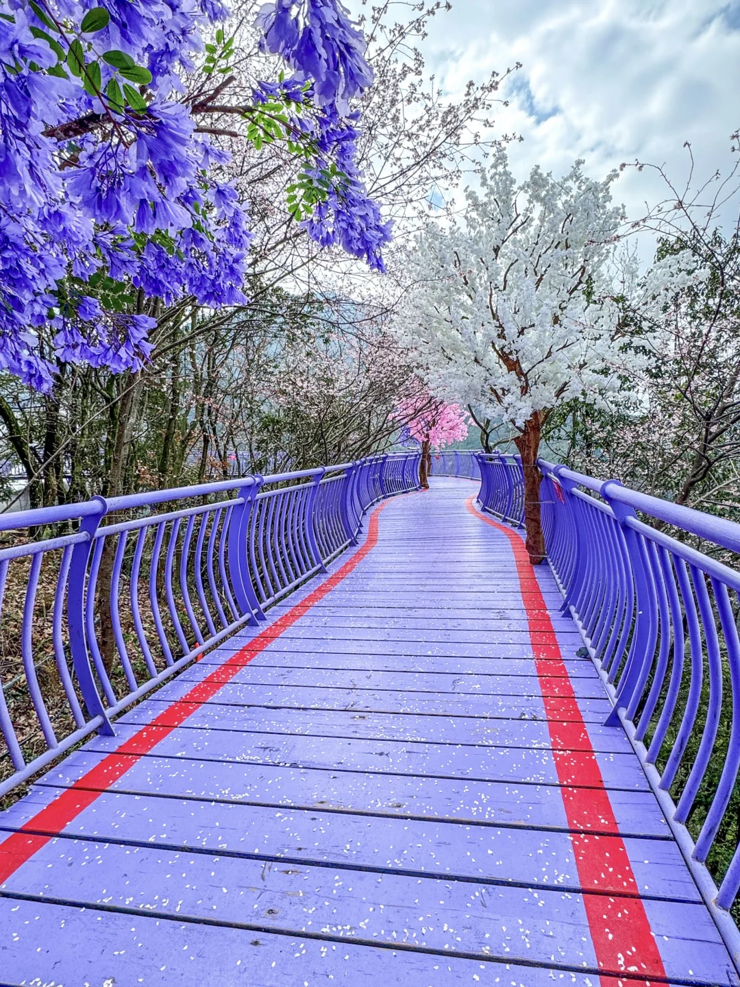 9.9元看万亩樱花！这波真的赚麻了🔥